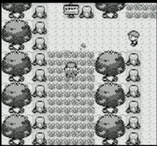 Black and White image from Pokemon Blue